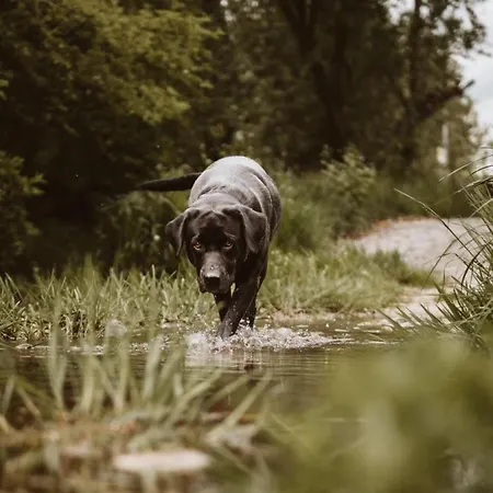 Tierbachlodge * Herrentierbach