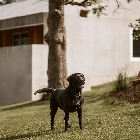 Ferienhaus Tierbachlodge Herrentierbach