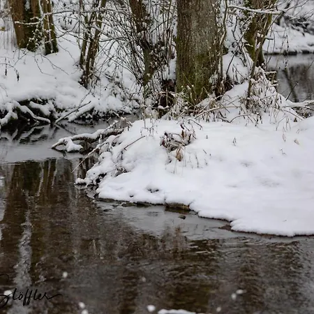 Tierbachlodge Ferienhaus Herrentierbach