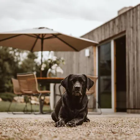 Tierbachlodge Ferienhaus