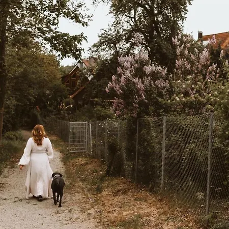 Ferienhaus Tierbachlodge