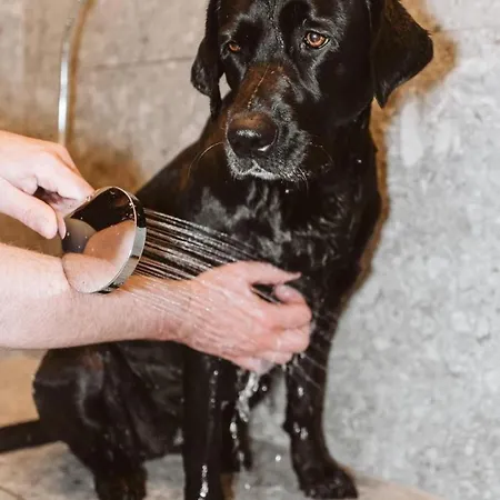 Tierbachlodge * Herrentierbach