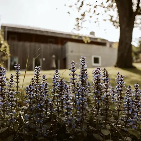 Tierbachlodge Ferienhaus Herrentierbach
