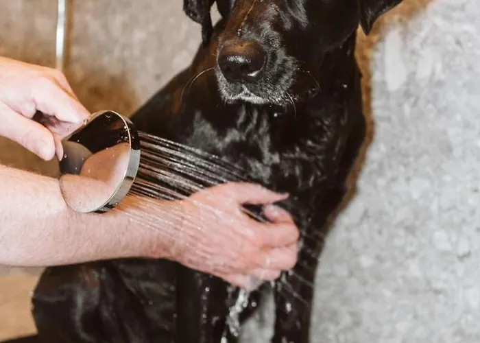 Tierbachlodge * Herrentierbach